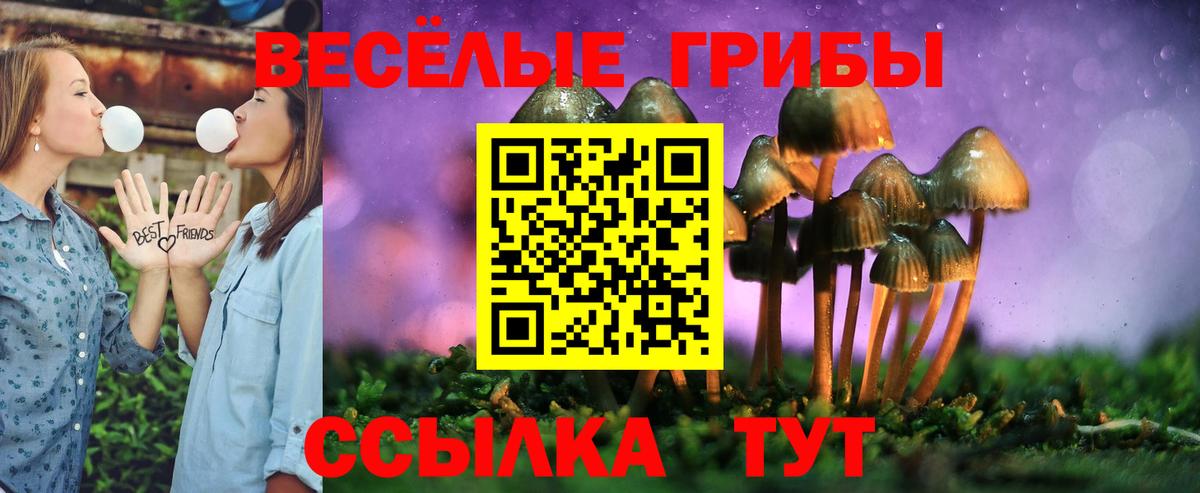 Галлюциногенные грибы Magic Shrooms Осинники