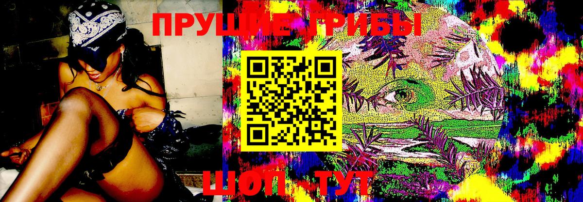 ГАШИШ  NBOMe  Гашиш  Кокаин  МЕТАМФЕТАМИН  Вход с VPN  Осинники  Меф МЯУ МЯУ кристаллы  Каннабис  Где найти наркотики? 