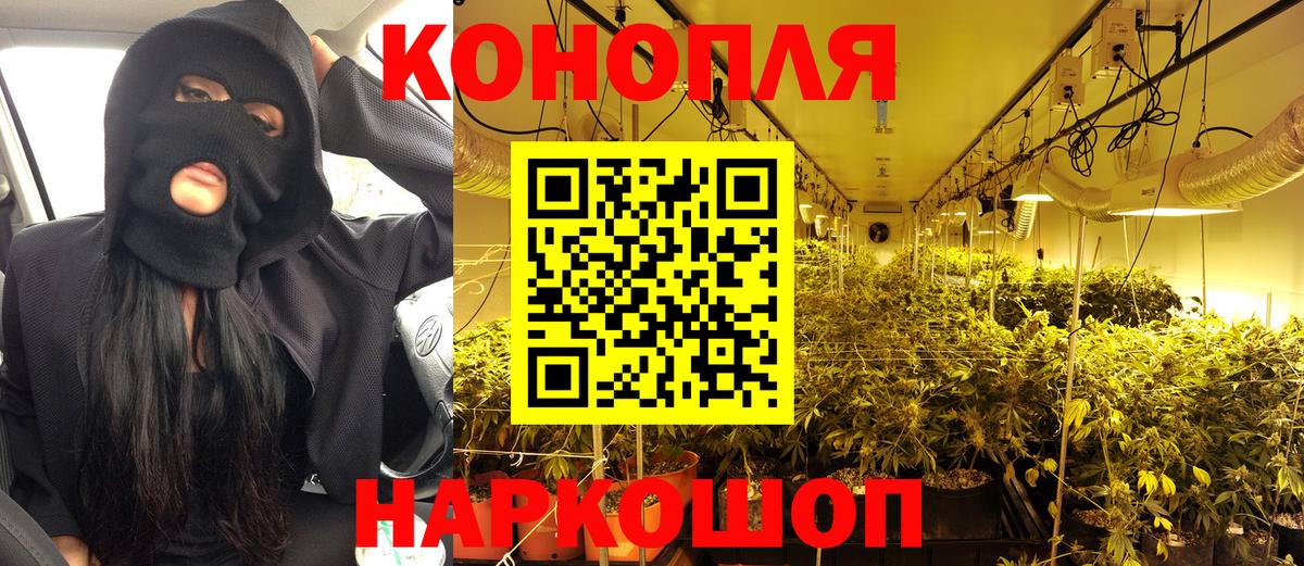 Шишки марихуана OG Kush Осинники